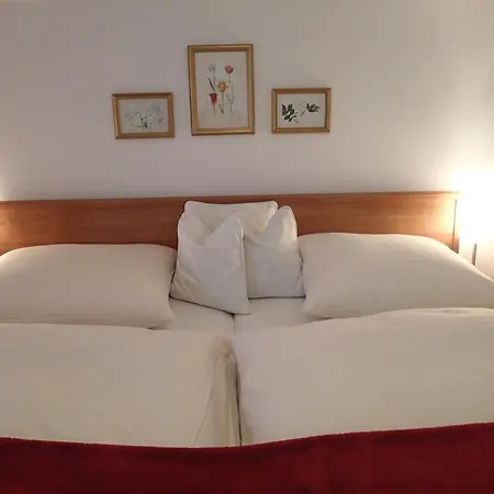 Bed & Breakfast Gaestehaus Rosa Leitgeb 3*